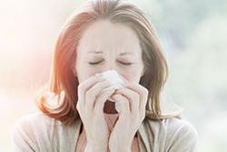 Apiterapie léčba potíží Apiterapie léčba potíží