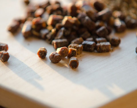 Apiterapie pyl - perga Apiterapie pyl - perga