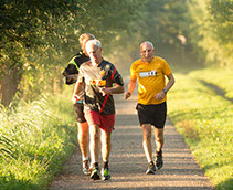 Apiterapie Apiterapie