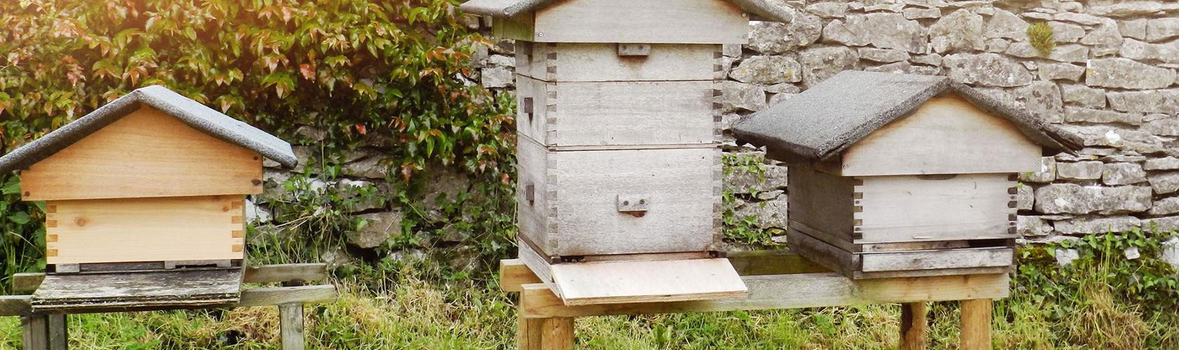 „Med - zdroj síly, zdraví, odvahy a cílevědomosti” | - Sir Edmund Percival Hillary „Med - zdroj síly, zdraví, odvahy a cílevědomosti” | - Sir Edmund Percival Hillary