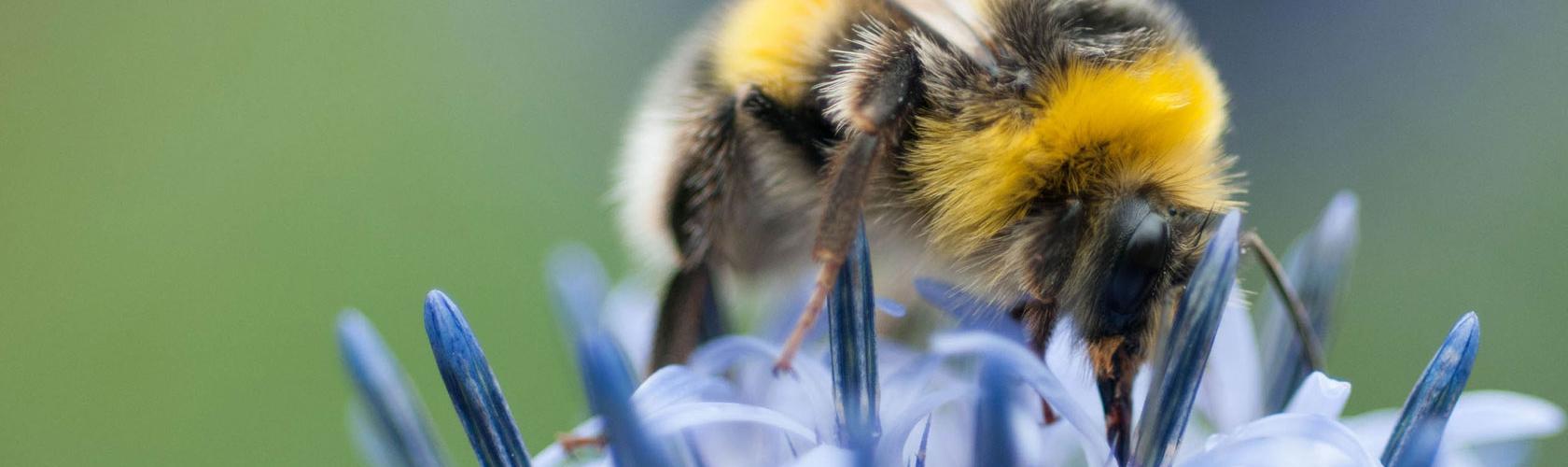 „Příroda je laskavá a moudrá a člověk v ní vždycky najde posilu” | - O. Sklenička „Příroda je laskavá a moudrá a člověk v ní vždycky najde posilu” | - O. Sklenička