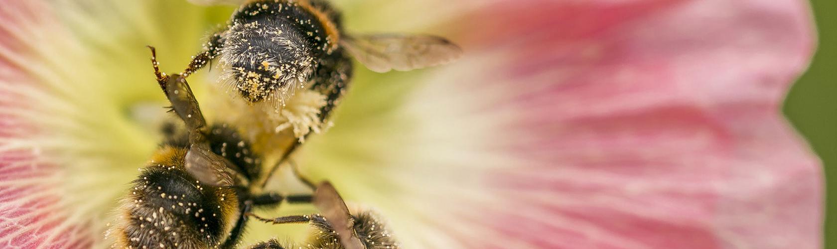 „Příroda je laskavá a moudrá a člověk v ní vždycky najde posilu” | - O. Sklenička „Příroda je laskavá a moudrá a člověk v ní vždycky najde posilu” | - O. Sklenička